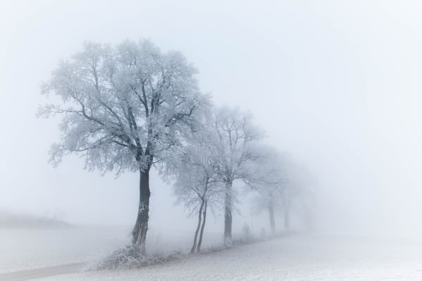 Region Beromünster / Bäch; 2. Januar 2017
