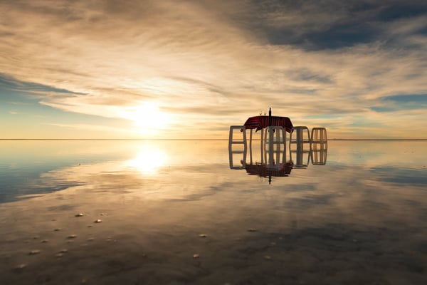 Kleines Stillleben im hauchdünn gefluteten Salar im Norden
