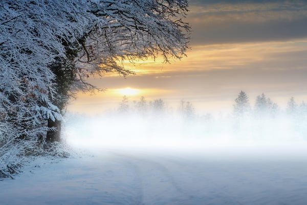 Morgenlandschaft im Südschwarzwald; 11.1.2019 (gleiches Bild, mehrfach manipuliert: Bodennebel, verschneite Spuren)