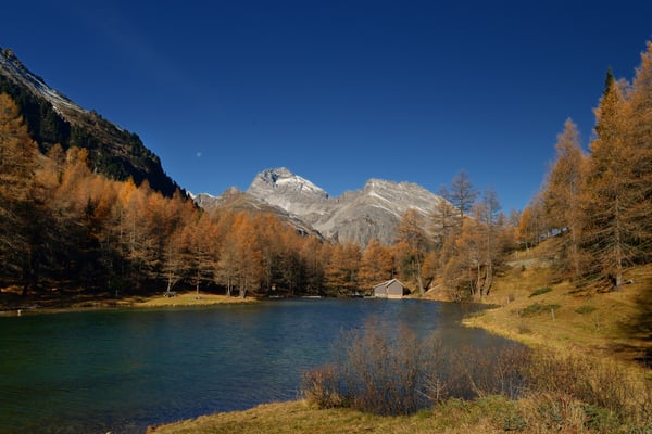 Lai da Palpuogna; 31. Oktober 2015