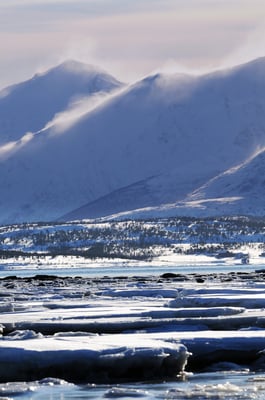 Brensholmen, Tromsö, Norwegen