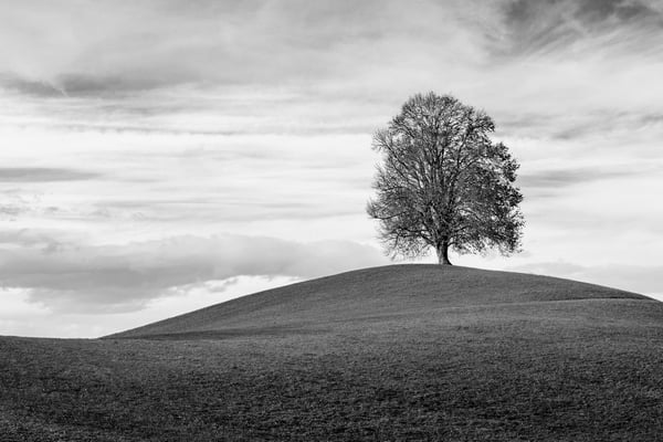Neublachen/Schwand bei Neuheim (ZG); 9. November 2018