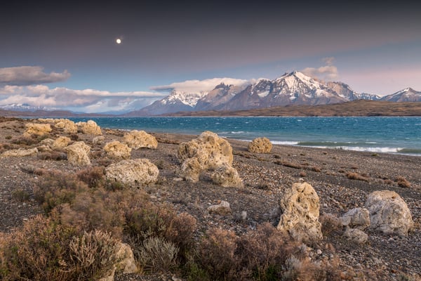 Thrombolithen: Lebende Fossile & zusammen mit Stromatolithen bildeten sie vor Jahrmilliarden die Sauerstoff-Atmosphäre auf unserem Planeten. 
