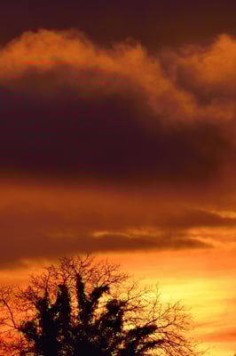 Morning has broken; Rietheim AG; 13.12.2015