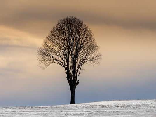 Bodenberg (Ettiswil LU), 23.1.21