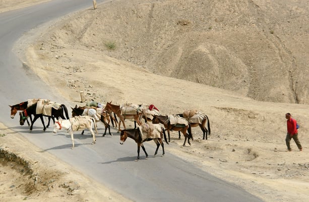 Auf der Strasse nach Lamayuru