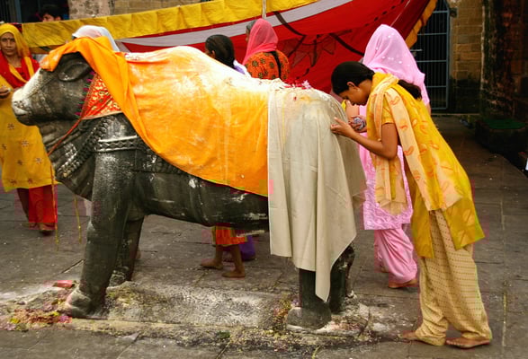Kangra Tal, Opferrituale im Hindutempel