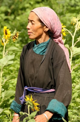 Stolze Cho-Cho vor ihrem Hof