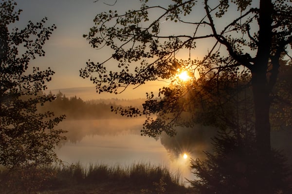 Sanftes Erwachen des Hochmoores bei Etang de la Gruère; Septeber 2018