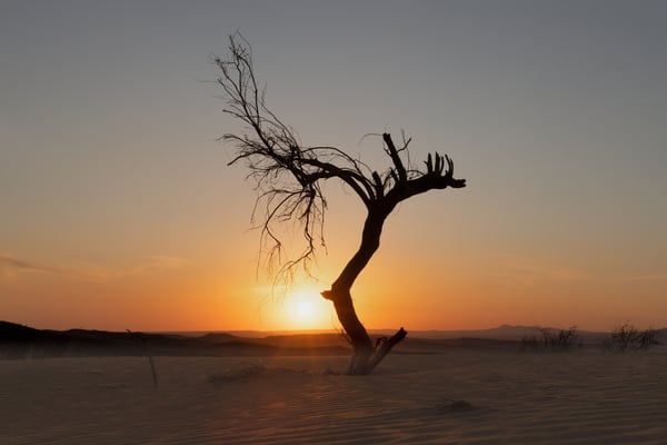 Abendstimmung in den Dünen der Kavir Wüste