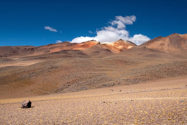 Valle de las Damas del Desierto
