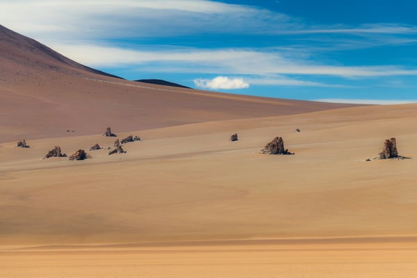 Salvador Dali Wüste