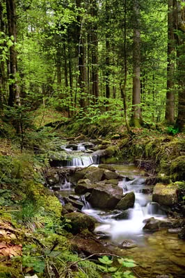 Rufibach ob Giswil (OW); 16. Mai 2016