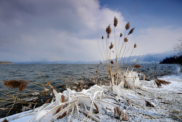 Eisstrukturen, Schweizer Seeufer; 27.2.2018