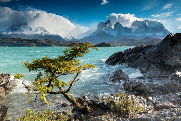 Lago Nordenskjöld mit den Cuernos del Paine im HG