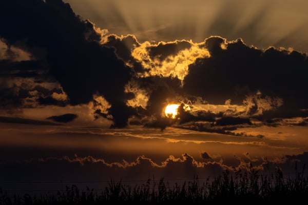 65 - Abendstimmung am Zwergdommelteich