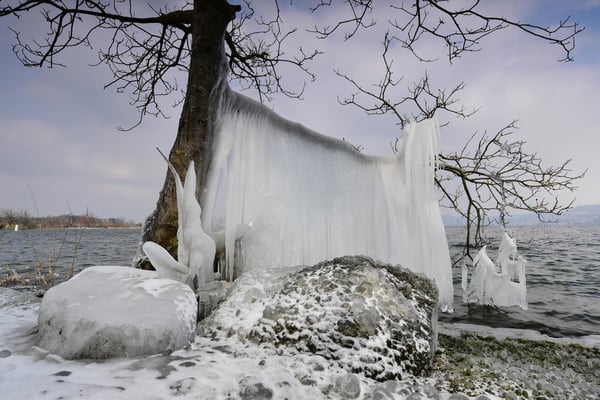 Eisstrukturen, Schweizer Seeufer; 27.2.2018