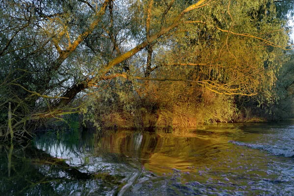 Landschaft Donaudelta; Juni 2014