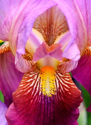 Garten der Cascina Bertolina, Gioia bei Castagnole Monferrato