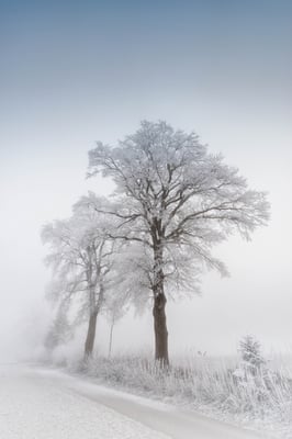 Region Beromünster / Bäch; 2. Januar 2017