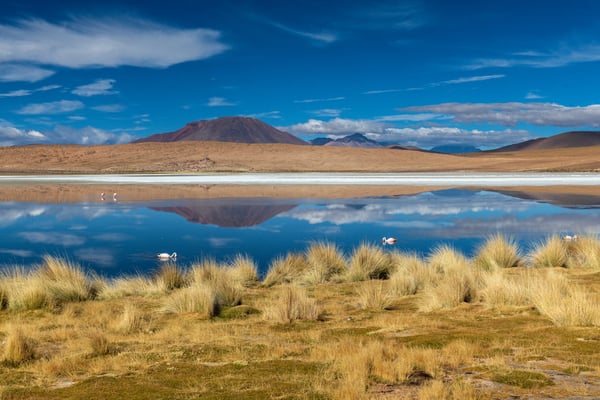 Idylle an der Laguna Cañapa
