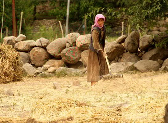 Auf dem Hof von Cho-Cho