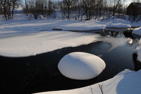 Kvaloya nördl. Tromsö, Norwegen