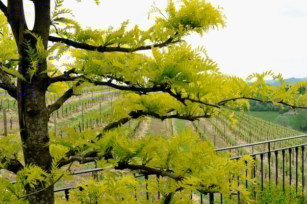 Villa Tiboldi, S. Stefano bei Canale