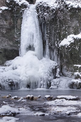 In Linn; 7. Januar 2017