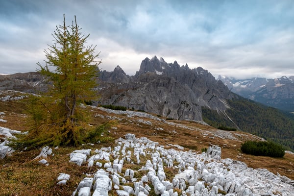 Monte Campedelle; Dolomiten; 8.10.2018