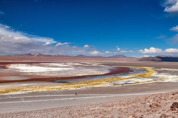 Laguna Colorada
