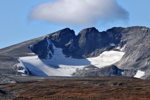 Snöhetta als Kulisse des Dovrefjell