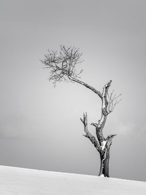 Bodenberg (Ettiswil LU), 23.1.21