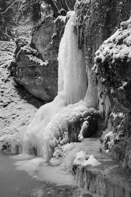 In Linn; 7. Januar 2017