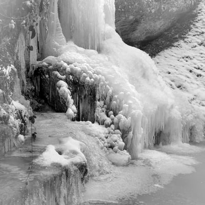 In Linn; 7. Januar 2017