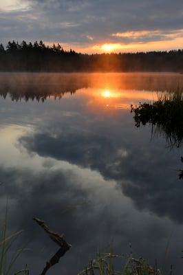 Etang dela Gruère; 11. September 2016