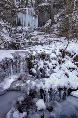 Auch in Linn; 7. Januar 2017