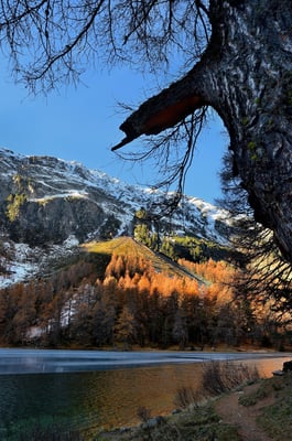 Lai da Palpuogna; 31. Oktober 2015