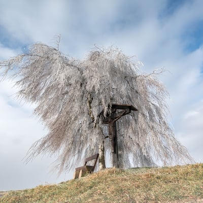 Region Beromünster / Bäch; 2. Januar 2017