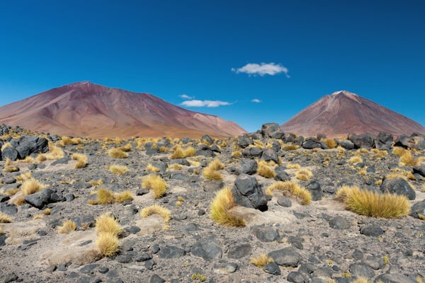 Landschaft vor der Grünen Lagune mit Vulkan Licancabur im Hintergrund