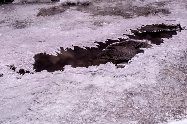 In Linn; 7. Januar 2017