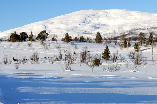 Kvaloya, Tromsö, Norwegen