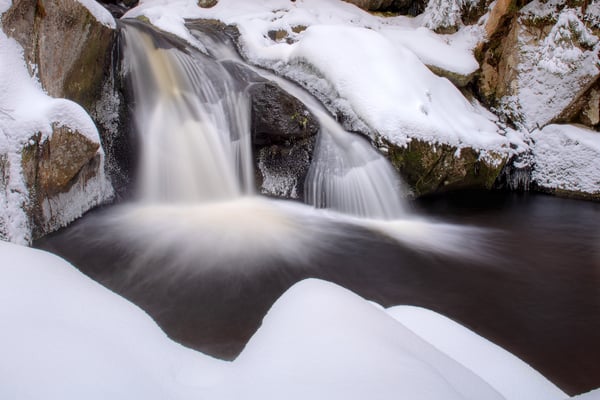 Eine Gumpe im Südschwarzwald; 11.1.2019
