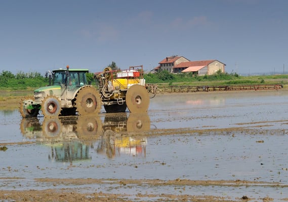 Arbeit auf dem Reisfeld Nähe Vercelli Piemont