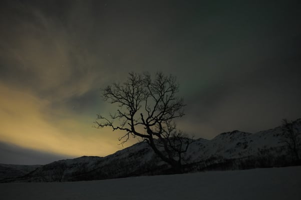 Landschaft in der Nacht