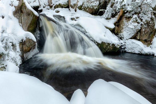 Eine Gumpe im Südschwarzwald; 11.1.2019
