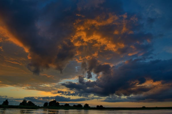 Landschaft Donaudelta; Juni 2014
