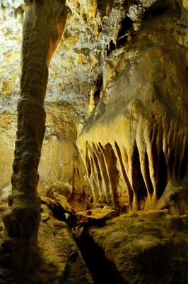 Grottes des Moidons; Französischer Jura; près Arbois; Juni 2015