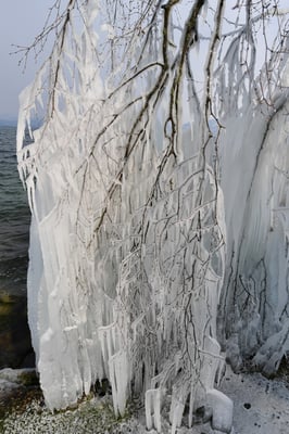 Eisstrukturen, Schweizer Seeufer; 27.2.2018