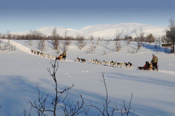 Kvaloya, Tromsö, Norwegen